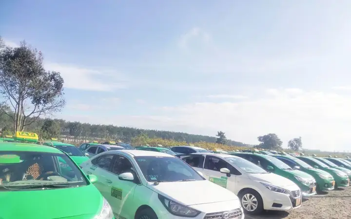Chi Tiết Về Hãng Taxi Mai Linh Tại Vĩnh Bảo