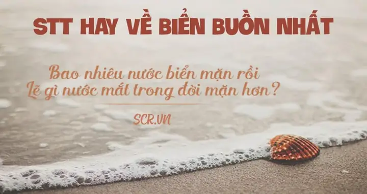 Stt Hay Về Biển Và Anh