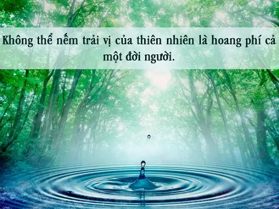 Stt Cáº£nh Äáº¹p Hay