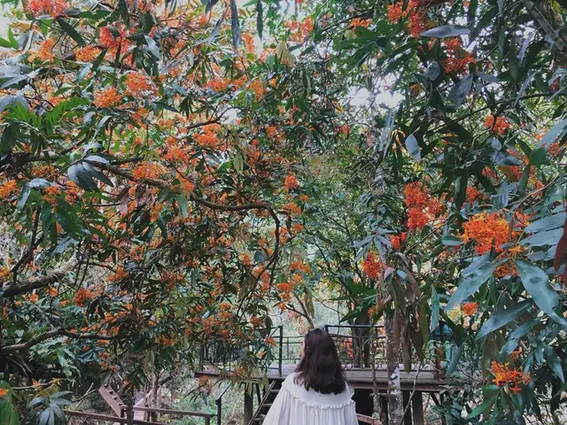 Điểm Khác Biệt Giữa Suối Moọc Hava Và Hang Tối Vẫn Rất Rõ Rệt. Điểm Khác Biệt Giữa Suối Moọc Hava Và Hang Tối Vẫn Rất Rõ Rệt.
