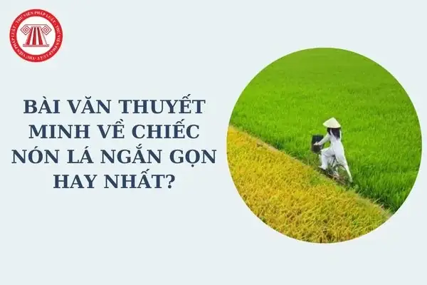 Bài Văn Thuyết Minh Về Chiếc Nón Lá Ngắn Gọn Hay Nhất?