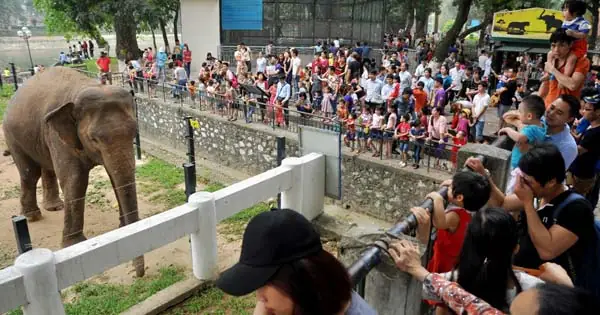 Tả Khu Vui Chơi Giải Trí Lớp 5 Mẫu 7 Tả Khu Vui Chơi Giải Trí Lớp 5 Mẫu 7