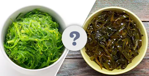 Tảo Biển Và Rong Biển: Khám Phá Lợi Ích Sức Khỏe Và Ứng Dụng
