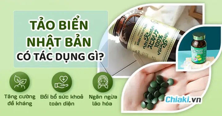 Tác Dụng Tảo Biển: Bí Quyết Sức Khỏe Từ Thiên Nhiên