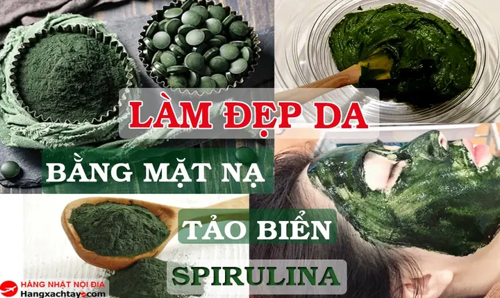 Mặt Nạ Tảo Biển Có Tác Dụng Gì - Bí Quyết Làn Da Khỏe Mạnh