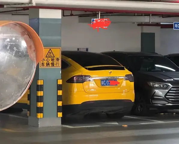 Tại Sao Cá Mè Lại Rẻ?