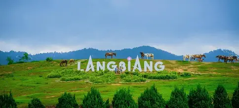 Đà Lạt Nằm Trên Cao Nguyên Nào? Địa Hình, Khí Hậu Ra Sao? Đà Lạt Nằm Trên Cao Nguyên Nào? Địa Hình, Khí Hậu Ra Sao?