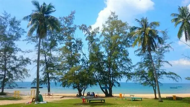 Tắm Biển Lăng Cô Ở Đâu? Hướng Dẫn Chi Tiết Đường Đi, Trải Nghiệm Và Lưu Ý Tắm Biển Lăng Cô Ở Đâu? Hướng Dẫn Chi Tiết Đường Đi, Trải Nghiệm Và Lưu Ý