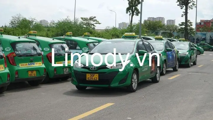 Giới Thiệu Về Taxi Mai Linh Đà Lạt: