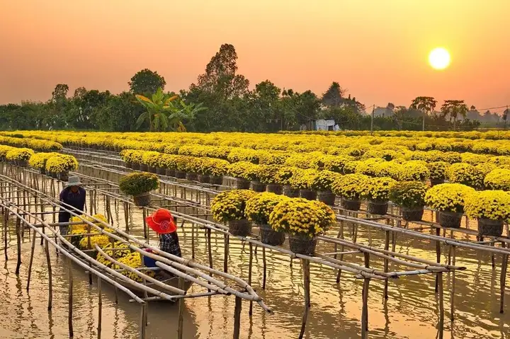Tết Dương Lịch Năm Nay Nên Đi Chơi Ở Đâu Miền Nam?