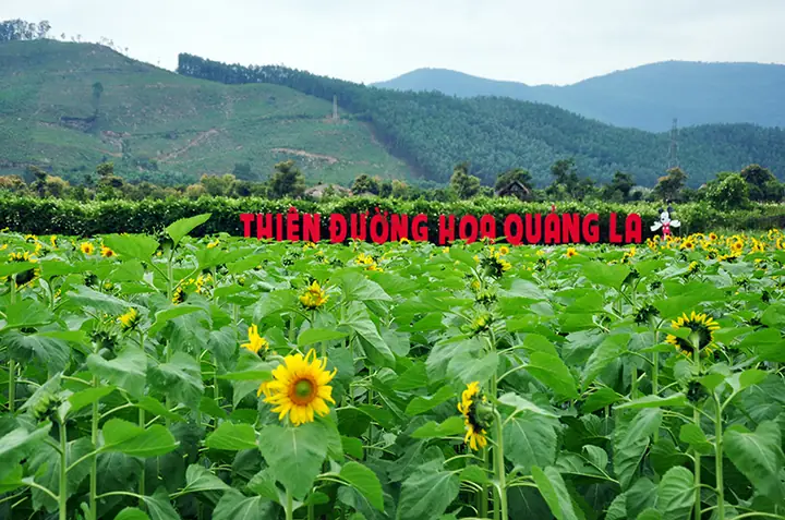 Tết Dương Lịch Năm Nay Nên Đi Chơi Ở Đâu Miền Bắc?