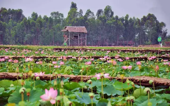Kết Luận