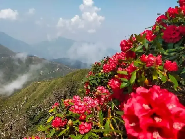 Sapa Tháng 3 – Thành Phố Trong Sương Sapa Tháng 3 – Thành Phố Trong Sương
