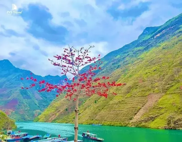 Hà Giang - Vùng Đất Của Đá Và Hoa Hà Giang - Vùng Đất Của Đá Và Hoa