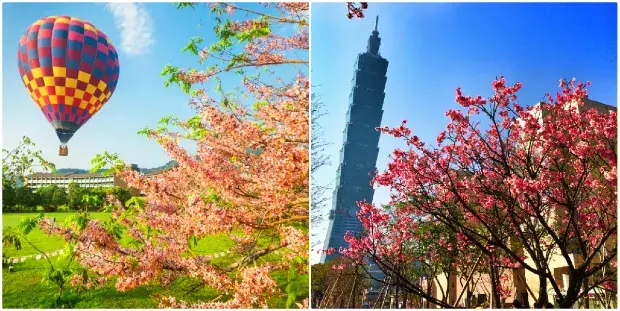 Mùa Xuân Đài Loan (tháng 3 Đến Tháng 5)