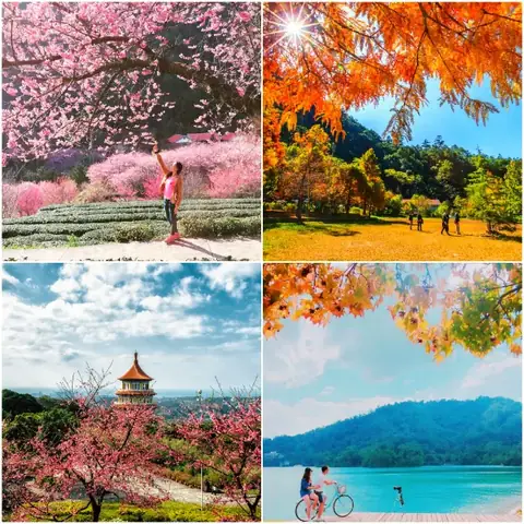 Lựa Chọn Thời Điểm Du Lịch Tối Ưu Nhất