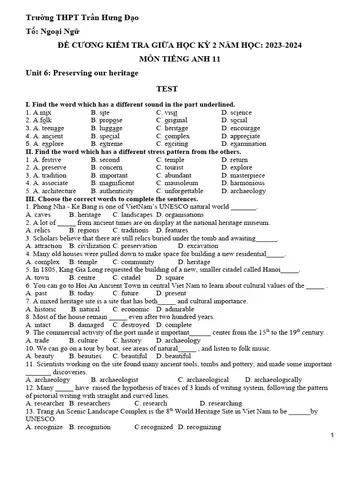 Sapa's Old Carved Stones Overview | Pdf | Academic Degree