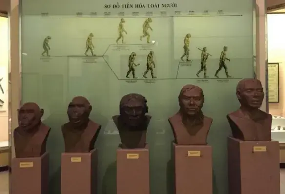 The National Museum Of Vietnamese History The National Museum Of Vietnamese History