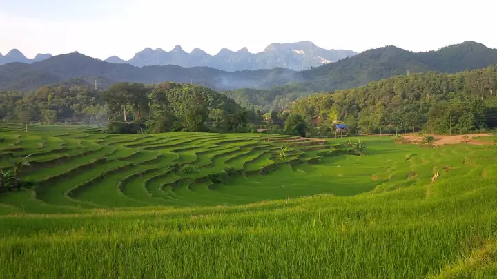 The 15 Best Things To Do In Ha Giang (2025) - Must-see Attractions