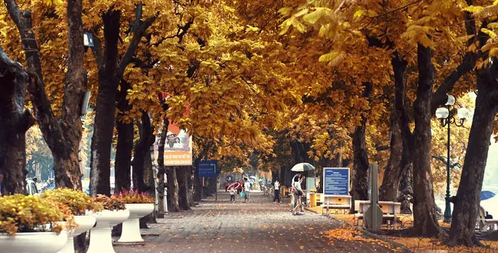 Du Lịch Từ Vinh Đến Hà Nội Thời Gian Nào Đẹp Nhất?