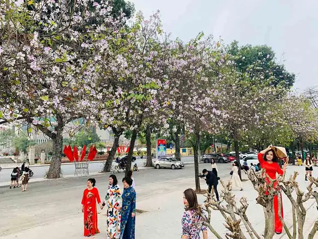 Du Lịch Hà Nội Tháng 2 Là Trải Nghiệm Đáng Nhớ Cho Du Khách