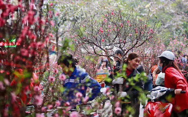 Thời Tiết Sau Tết Nguyên Đán 2019 Có Gì Đặc Biệt? Tổng Quan Và Ảnh Hưởng
