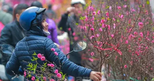 Thời Tiết Tết Nguyên Đán Nhâm Dần 2022: Miền Bắc Mưa Rét, Miền ... Thời Tiết Tết Nguyên Đán Nhâm Dần 2022: Miền Bắc Mưa Rét, Miền ...