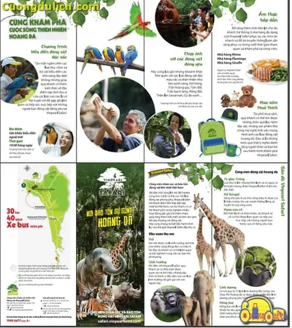 Tất Tần Tật Thông Tin Về Vinpearl Safari Phú Quốc Cho Cả Nhà Khám Phá