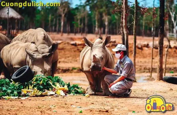 Tất Tần Tật Thông Tin Về Vinpearl Safari Phú Quốc Cho Cả Nhà Khám Phá