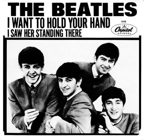 Want To Hold Your Hand