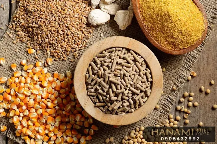 Thức Ăn Cho Cá Tại Đà Nẵng Thức Ăn Cho Cá Tại Đà Nẵng