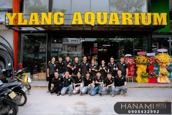 Ylang Aquarium Ylang Aquarium