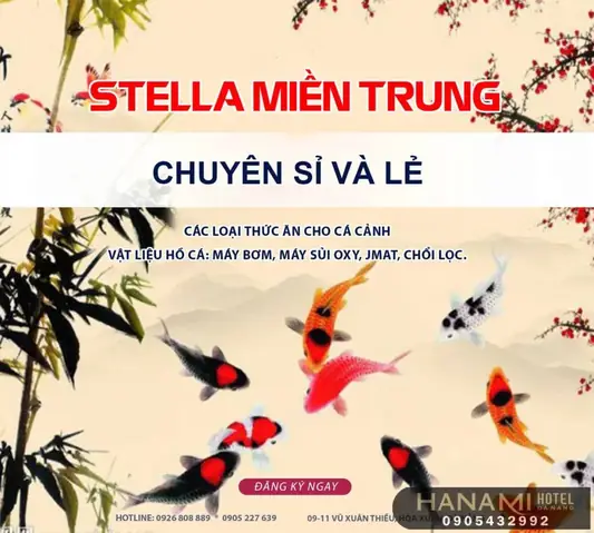 Stella Miền Trung Stella Miền Trung