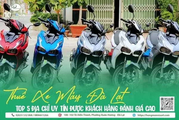 Thuê Xe Máy Hoàng Anh Đà Lạt: Hướng Dẫn Toàn Diện Cho Hành Trình Khám Phá