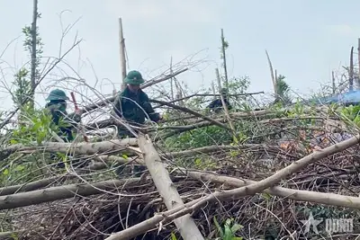Hàng Trăm Người Tham Gia Chữa Cháy Rừng Tại Tp Uông Bí, Quảng ...
