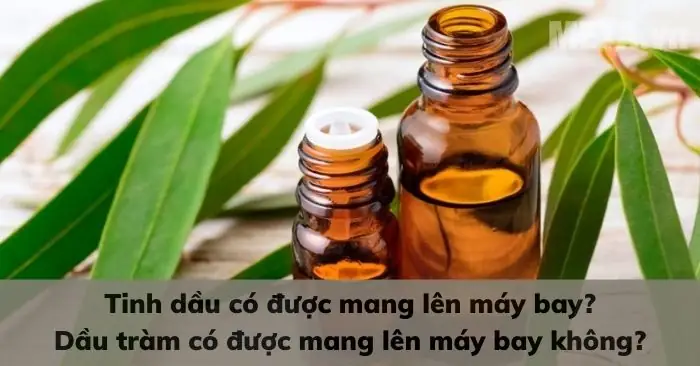 Tinh Dầu Có Được Mang Lên Máy Bay Không?