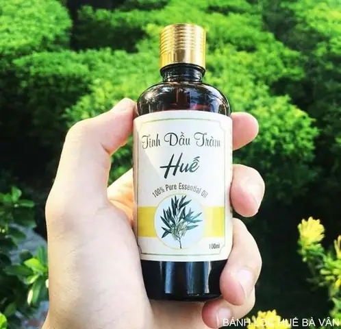 Tinh Dầu Tràm Huế - Công Dụng Và Thương Hiệu Uy Tín Nên Mua