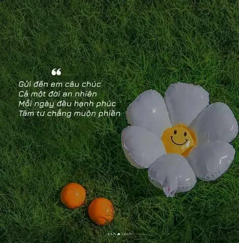 Stt Phụ Nữ Yêu Đời: Chìa Khóa Nâng Tầm Giá Trị Bản Thân