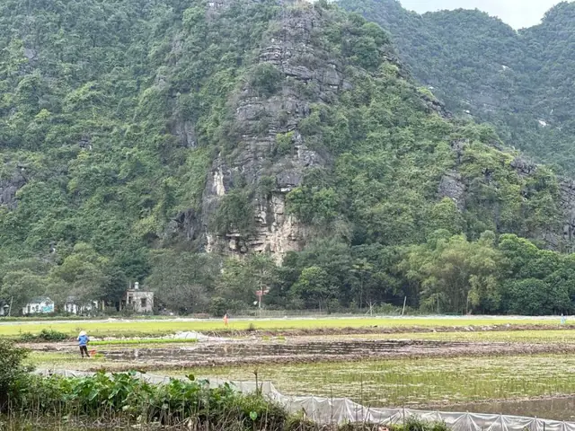 See The Rice Paddies Of Vietnam See The Rice Paddies Of Vietnam