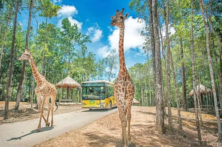 Tour Du Lịch Phú Quốc Từ Hồ Chí Minh Tour Du Lịch Phú Quốc Từ Hồ Chí Minh