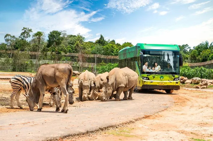 Tour Du Lịch Phú Quốc Từ Hồ Chí Minh Tour Du Lịch Phú Quốc Từ Hồ Chí Minh