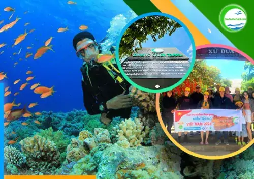 Tour Lặn Bình Khí Đảo Cù Lao Chàm Đặc Sắc Giá Hợp Lý