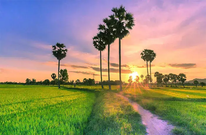 Điểm Nổi Bật Trong Hành Trình Khám Phá Tứ Tỉnh Miền Tây Cùng Pys Travel: