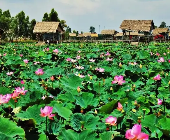 Điểm Nổi Bật Trong Hành Trình Khám Phá Tứ Tỉnh Miền Tây Cùng Pys Travel: