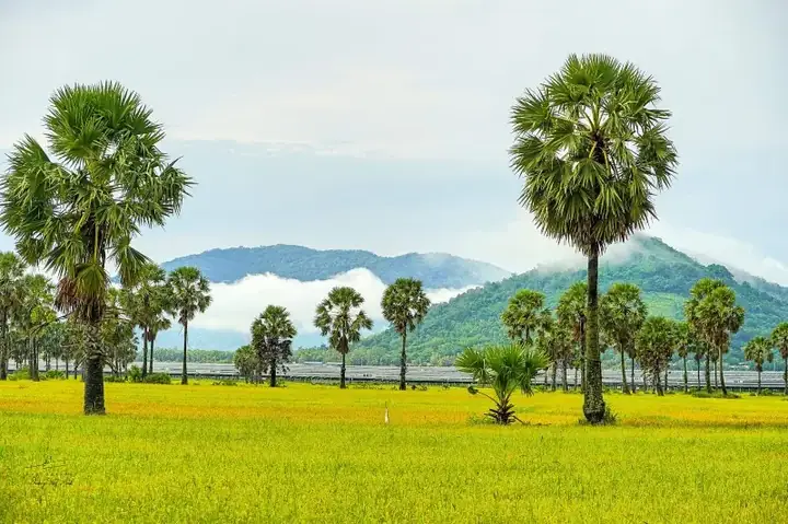 Điểm Nổi Bật Trong Hành Trình Khám Phá Tứ Tỉnh Miền Tây Cùng Pys Travel: