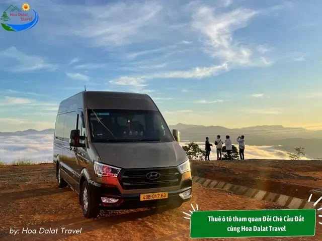 Thuê Ô Tô Tham Quan Đồi Chè Cầu Đất Cùng Hoa Dalat Travel