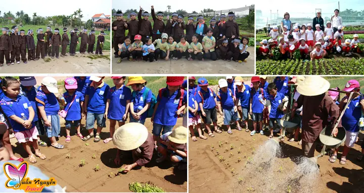 Tour Dã Ngoại Làng Rau Trà Quế - Làng Gốm Thanh Hà - Hội An
