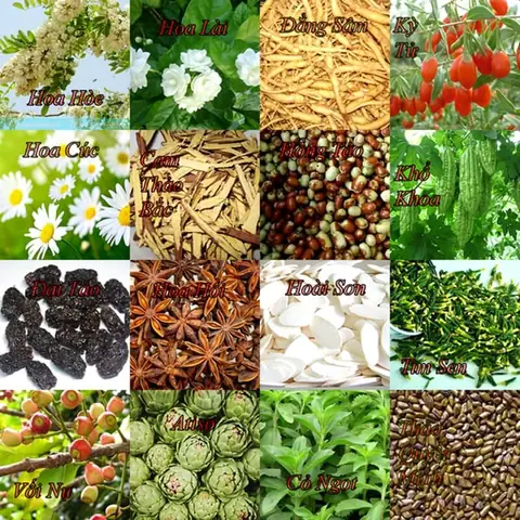 Thành Phần Trà Cung Đình Huế Thành Phần Trà Cung Đình Huế