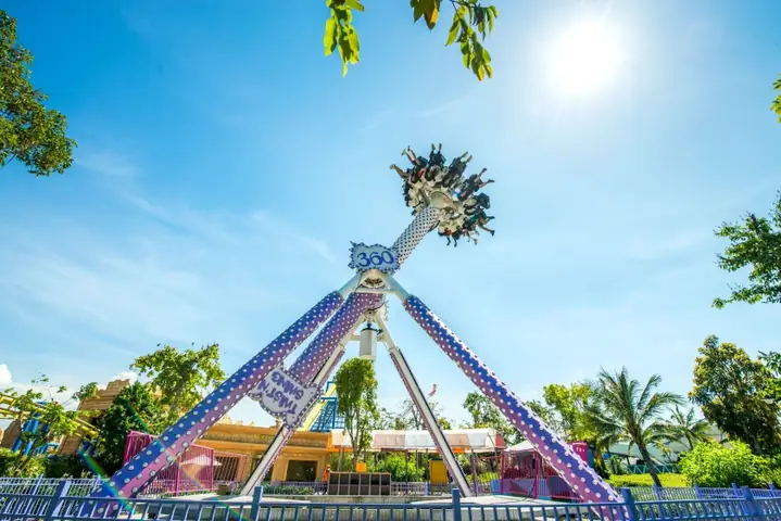 Trà Sâm Dứa Đà Nẵng – Thương Hiệu Trà Bảo Ngân