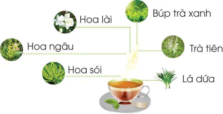 Thành Phần Của Trà Sâm Dứa Đà Nẵng Thành Phần Của Trà Sâm Dứa Đà Nẵng